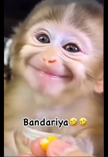 Happy Birthday Bandariya